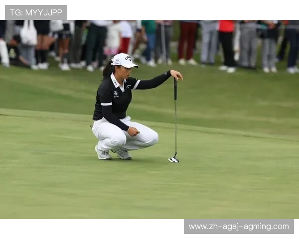 高尔夫季后赛：创造历史性胜利