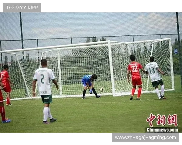 足球青训与篮球思维碰撞董老师CBA观察手记带给我们的深刻启示